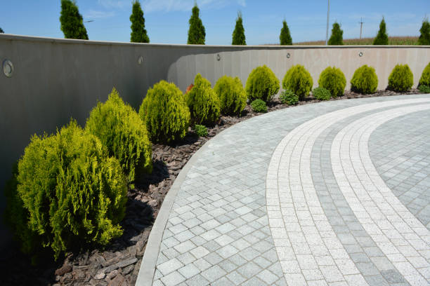 Best Driveway Pavers Near Me  in Meadows Place, TX